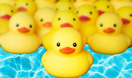 Duck Race - Thurs 7th August 2025 midday 